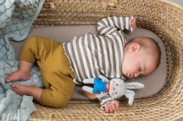 Taf Toys Zawieszka Króliczek Rylee z Gryzakiem - Kolekcja Urban Garden