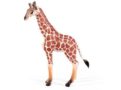 Figurki Zwierząt Dzikie Zwierzęta Zestaw 4 Figurek Lew Tygrys Zebra Żyrafa ZOO Safari