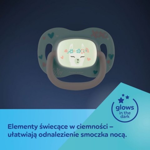 Smoczek gr. sil.sym 18m+ koala