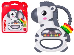 Grzechotka Zebra