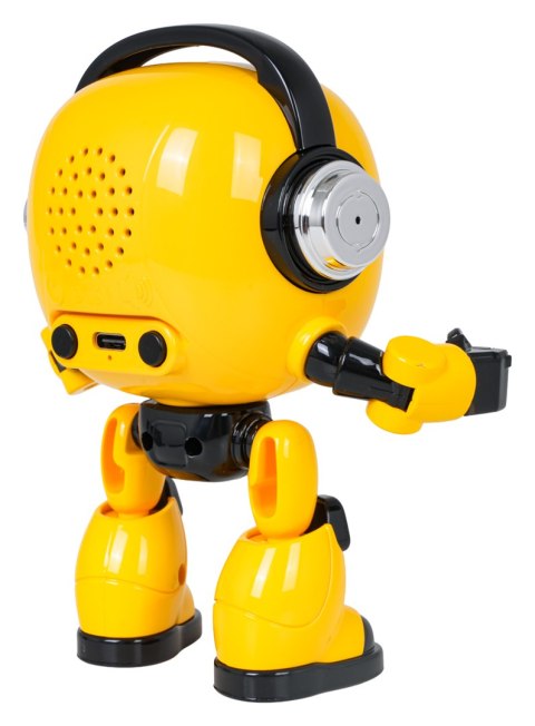 Robot AI do Nauki i Rozmowy