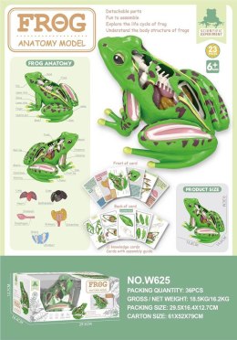 Zabawka Edukacyjna Anatomia Zwierząt Żaba
