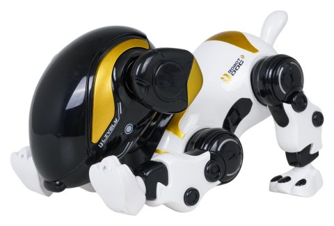 Robot Piesek BUNNY R/C Biały