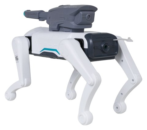 Robot R/C KEEPER 300 z Karabinem