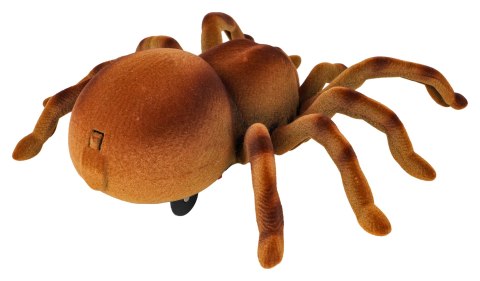 Pająk Tarantula R/C