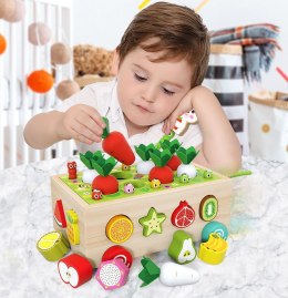 GRA LOGICZNA ZRĘCZNOŚCIOWA SORTER MARCHEWKI I ROBACZKI JHTOY-556