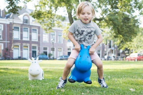 Skoczek Krówka Niebieska