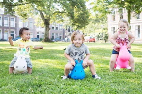 Skoczek Krówka Niebieska