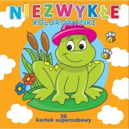 Książeczka / Kolorowanka NIEZWYKŁE KOLOROWANKI MD Wydawnictwo