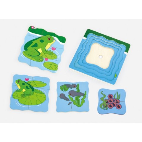 Puzzle drewniane Viga Toys Jak rośnie Żabka 4 Obrazki 21 Elementów