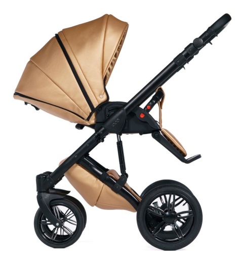 MAX 500 2w1 Dada Prams wózek dziecięcy - Golden Rose