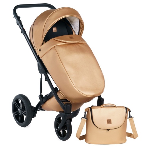 MAX 500 2w1 Dada Prams wózek dziecięcy - Golden Rose