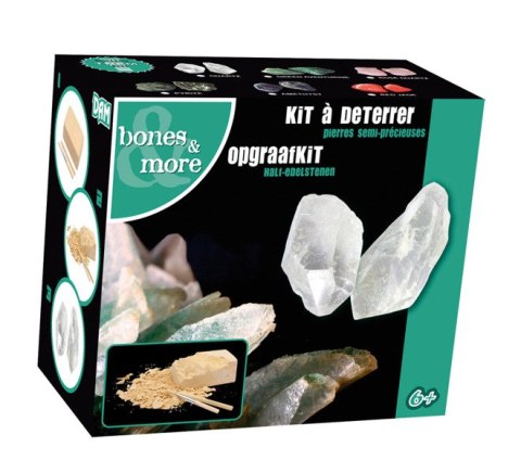 Bones&more, Kamień wykopaliska