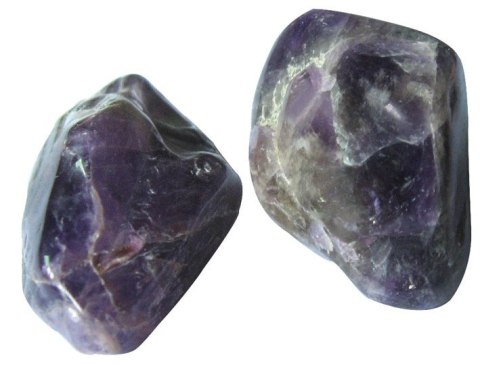 Bones&more, Kamień wykopaliska