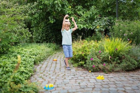 BS Toys, Ptasi Wyścig USZKODZONE OPAKOWANIE RABAT 5%