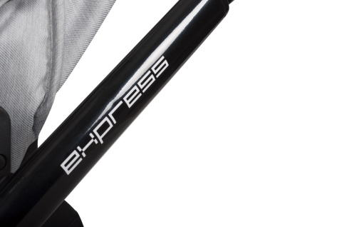 EXPRESS Euro-Cart 3w1 wózek głęboko-spacerowy z fotelikiem KITE 0-13kg - grey fox
