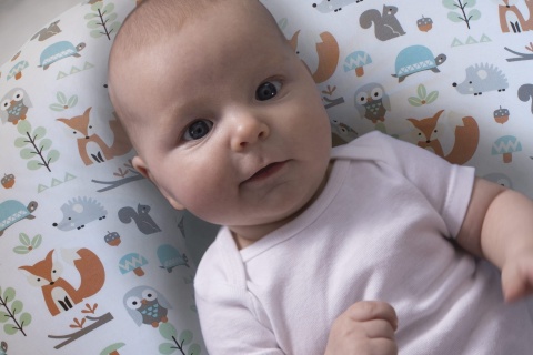 BOPPY Chicco poduszka rogal do karmienia dzieci - Modern Woodland