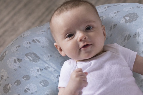 BOPPY Chicco poduszka rogal do karmienia dzieci - Soft Sheep