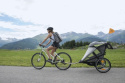 Wózek wielofunkcyjny / przyczepka rowerowa Joggster Velo - szary