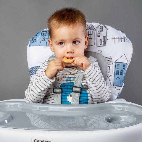 HOMEE CARETERO 2w1 krzesełko do karmienia i stolik - Grey