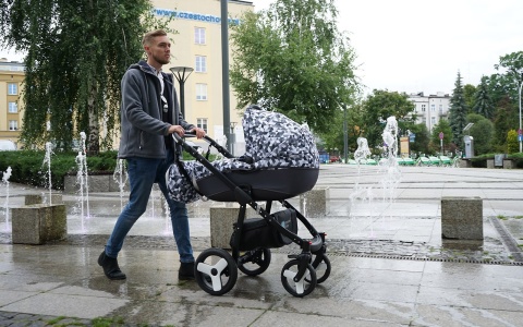 SCANDI 2w1 Dynamic Baby wózek wielofunkcyjny - pink line SL5