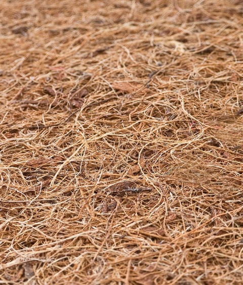 Materac Sensillo 140x70 Lateks-Pianka-Kokos ALOE VERA