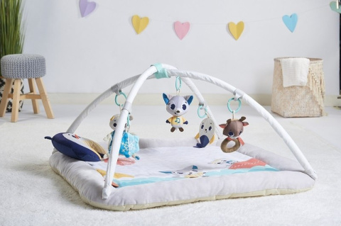 Tiny Love Gimnastyka pluszowa dla bobasa z pałąkami - Arktyczna Kraina
