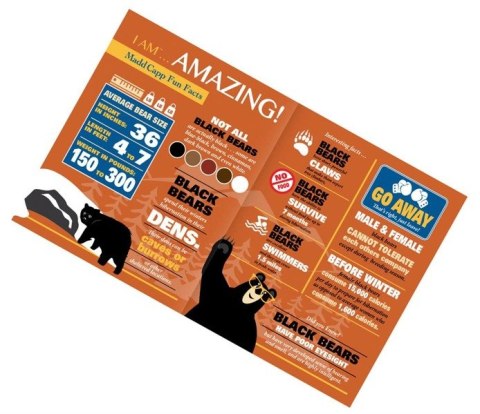 MADD CAPP, Puzzle konturowe I AM - Niedźwiedź 550 elem.