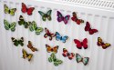 Motyle Motylki 3D magnesy