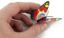 Motyle Motylki 3D magnesy