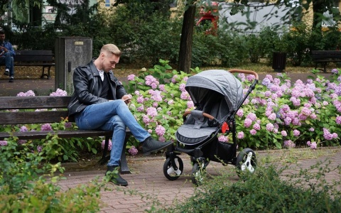 MIG Dynamic Baby wózek spacerowy - Melange Line