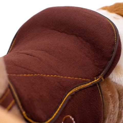 ANTOŚ KOŃ NA BIEGUNACH Z MELODIĄ 39642 PlayTo by Caretero