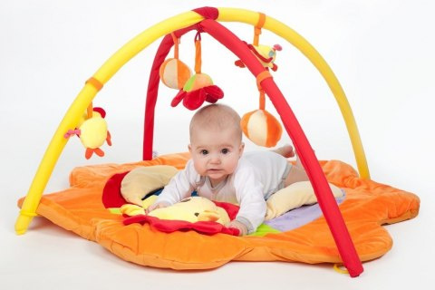 PLAYTO Lew MATA EDUKACYJNA 31610