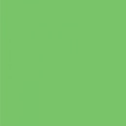 Farba w spray'u R/C Spray Paint 85 g - Fluor Green (FL) (zielona) - PACTRA