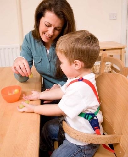 Szelki bezpieczeństwa Clippasafe Easy Wash