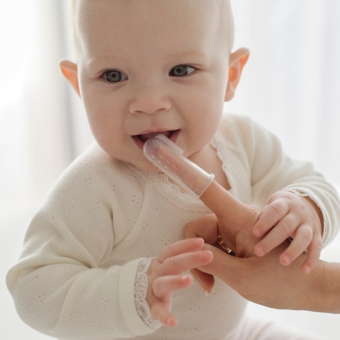 BICKIEPEGS Doidy szczoteczka silikonowa twin pack 6-18 m-cy