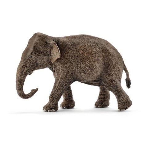 Schleich 14753 Azjatycka Słonica