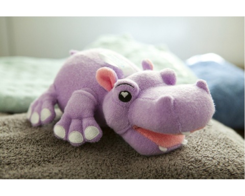 Morski Kąpielowy Przyjaciel