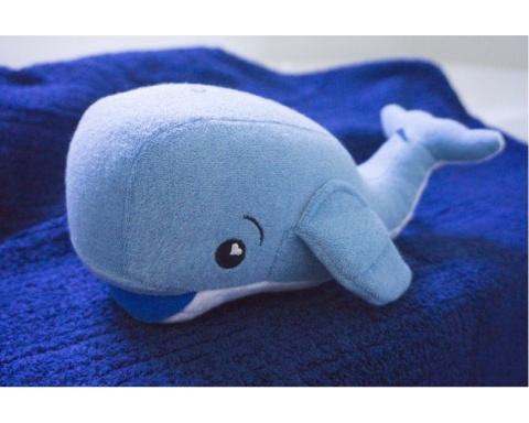 Morski Kąpielowy Przyjaciel