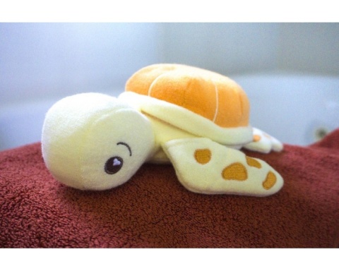 Morski Kąpielowy Przyjaciel