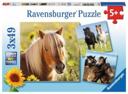 Puzzle 3x49el Kochane Konie 080113 RAVENSBURGER p8