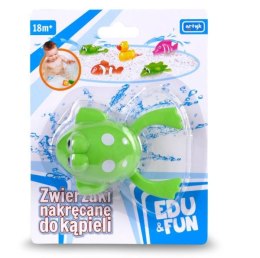 Zabawka do wody, zielona żabka blister Edu&Fun
