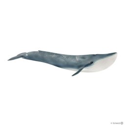 Schleich 14806 Płetwal błękitny