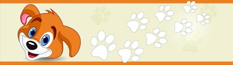 NOBIKO Fototapeta Miks wzorów 67x240