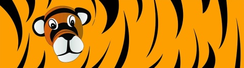 NOBIKO Fototapeta Miks wzorów 67x240