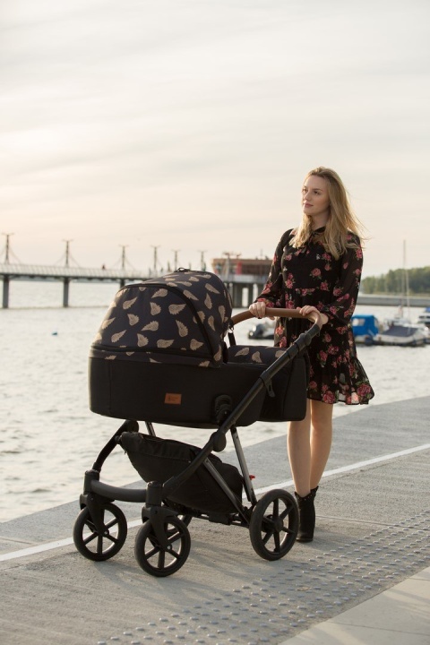 DOVER Dynamic Baby wózek wielofunkcyjny tylko z gondolą - DV4