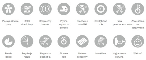 DOVER Dynamic Baby wózek wielofunkcyjny tylko z gondolą - DV5