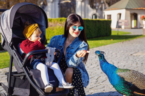 MOODY 4Baby wózek spacerowy do 22 kg - GREY