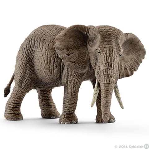 Schleich 14761 Samica słonia afrykańskiego