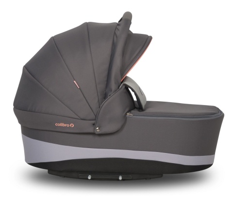 FOCUS 2w1 Colibro wózek wielofunkcyjny - Coral